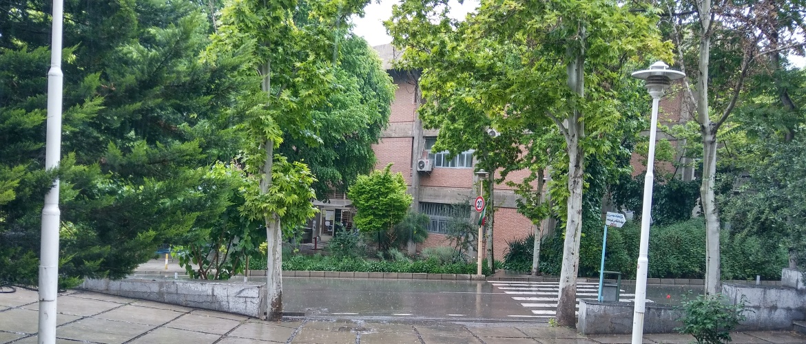 JDEVS Front Yard - Campus - A Rainy Day